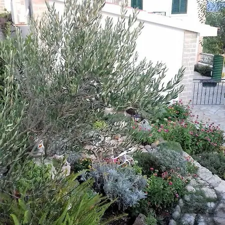 Villa Bijeli Dvori *